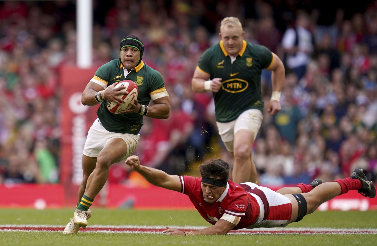 Springboks go with Kolbe Arendse on wings to start Rugby World